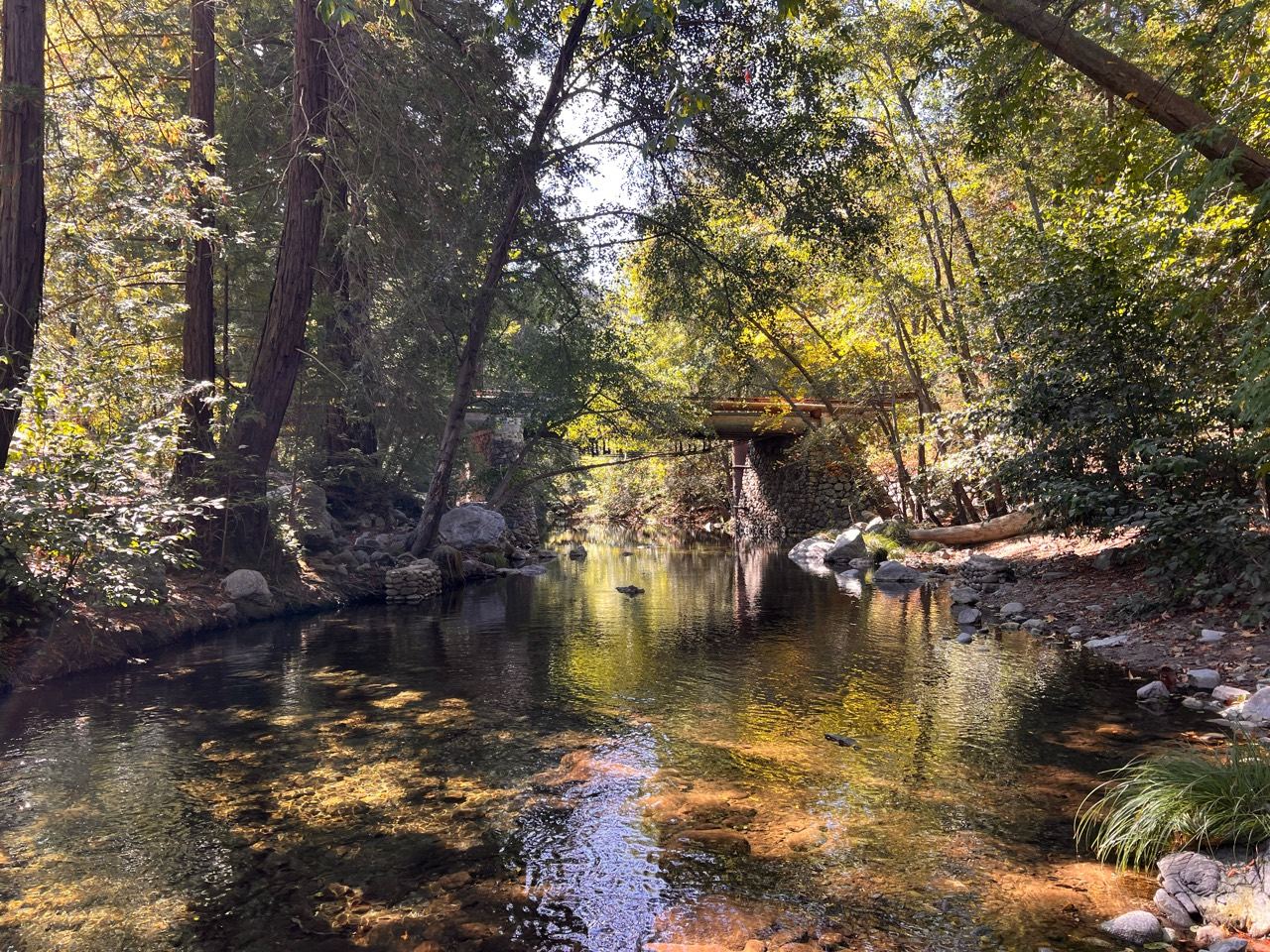 Eliot Fisher’s photograph of a footbridge through a forest
